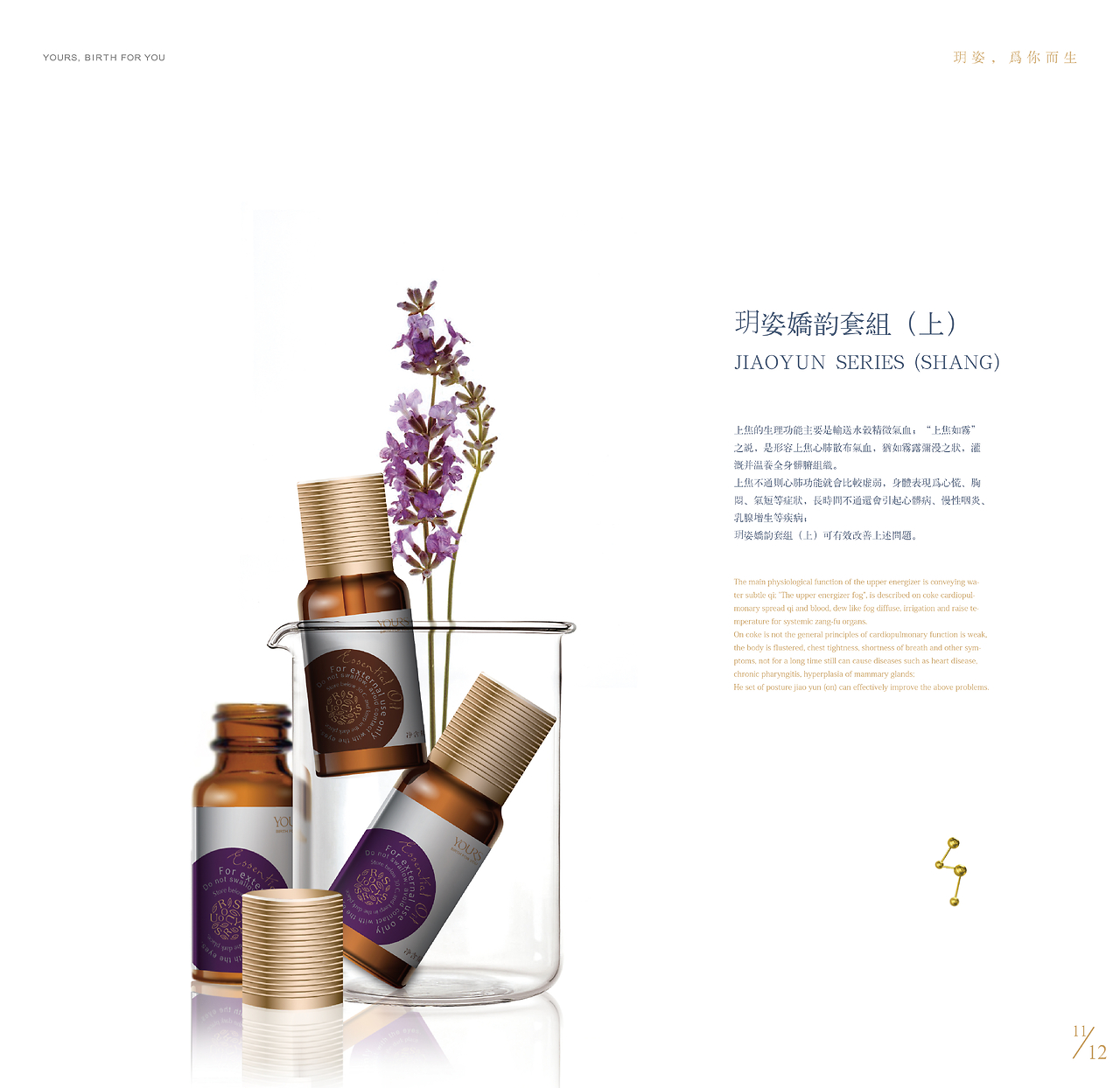 美容養生產品畫冊